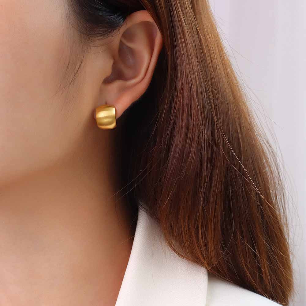 Matt Frosted Stud Earrings